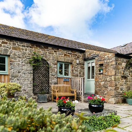 Moylgrove Cwm Connell Coastal Cottages المظهر الخارجي الصورة